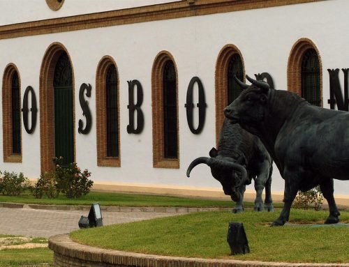 Bodegas Osborne (A 1 h 25 min desde Sotogrande, en coche)