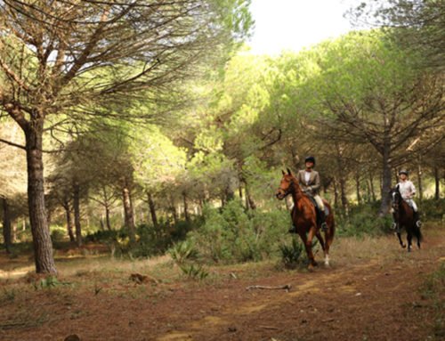 Rutas y viajes a caballo al lado cerca de Sotogrande. «E3»