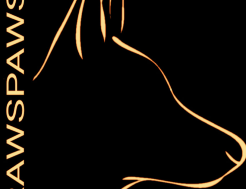 ENTRENAMIENTO CANINO.  DOG TRAINING