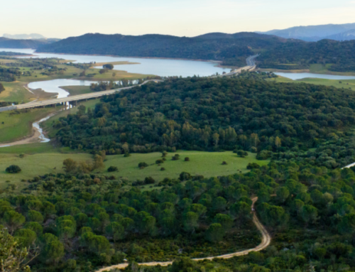 Senderismo en el Parque Natural de los Alcornocales