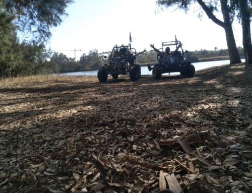 Alquila Buggys RENT AND FUN y date una vuelta a todo gas