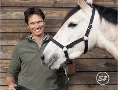 Trotar y Galopar campo a través con caballos entrenados en Raid