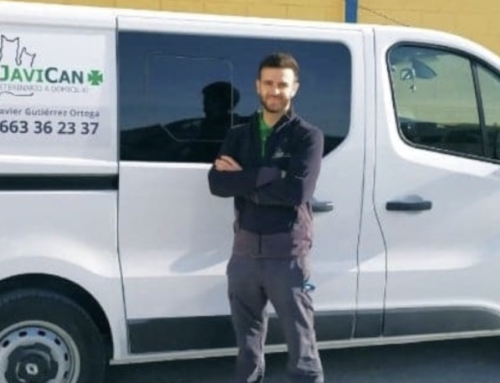 Veterinario a domicilio