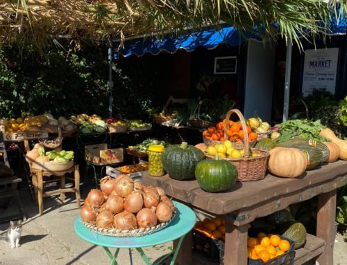 Mercadillo de fruta y verdura ecológica los domingos en San Enrique de Guadiaro