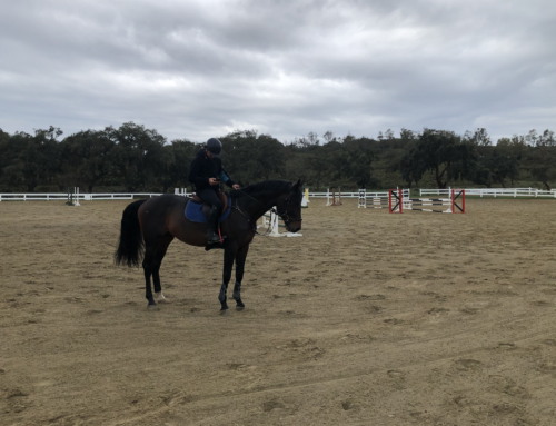 ESCUELA HÍPICA DE SAN ROQUE