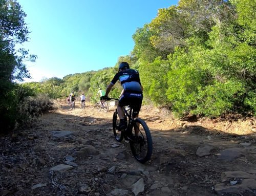 Alquiler y venta de eBikes en el Puerto de Sotogrande