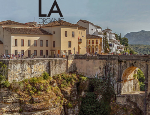 Hotel LA Organic Experience en Ronda