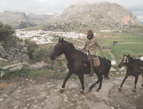 Maktub Bohemian Rides