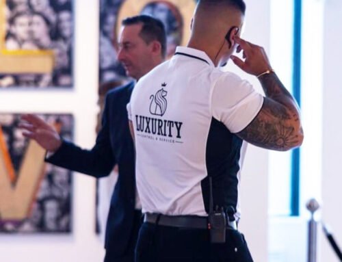 LUXURITY  (Seguridad)