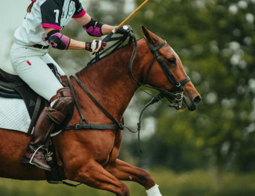 EL POLO en Sotogrande