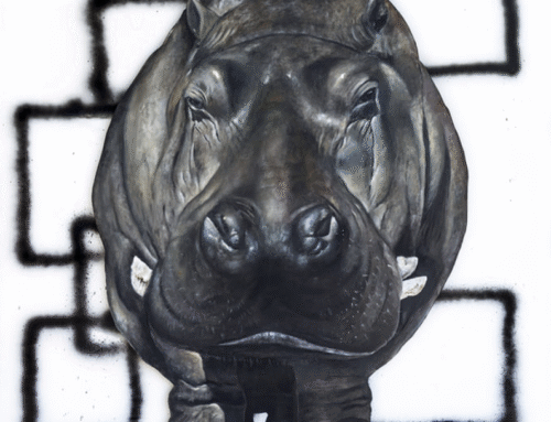 El rinoceronte de Guiomar Álvarez de Toledo en la sede L35 Architects, en la Marina