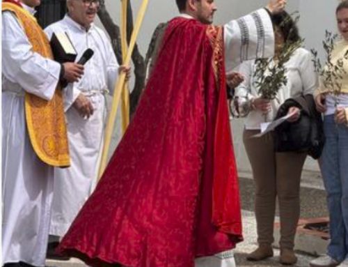 2026 SEMANA SANTA PROCESIONES Y MISAS